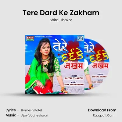 Tere Dard Ke Zakham - Shital Thakor