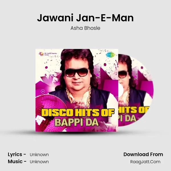 Jawani Jan-E-Man Cover