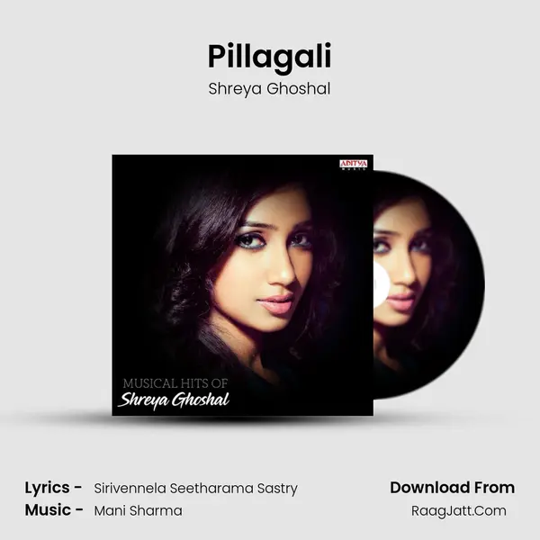 Pillagali Cover