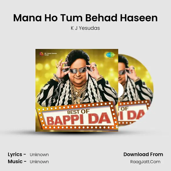 Mana Ho Tum Behad Haseen Cover