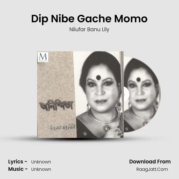 Dip Nibe Gache Momo MP3 Song by Nilufar Banu Lily Cover