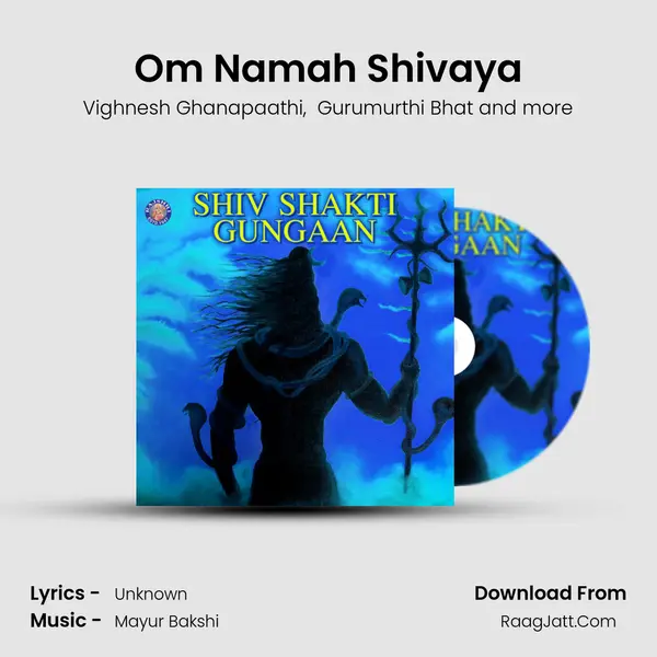 Om Namah Shivaya Cover