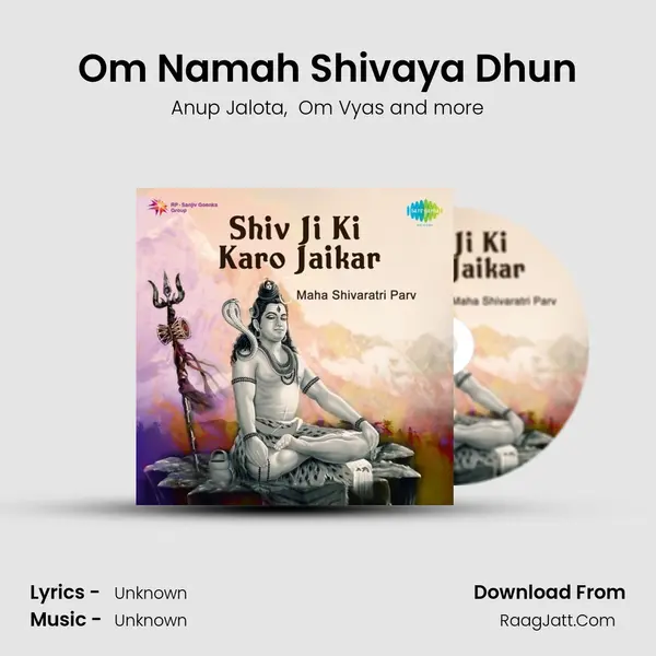 Om Namah Shivaya Dhun Cover