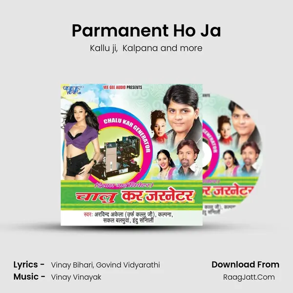 Parmanent Ho Ja mp3 song