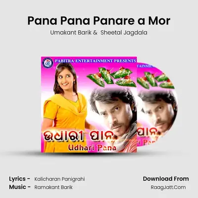 Pana Pana Panare a Mor MP3 Song by Umakant Barik Cover