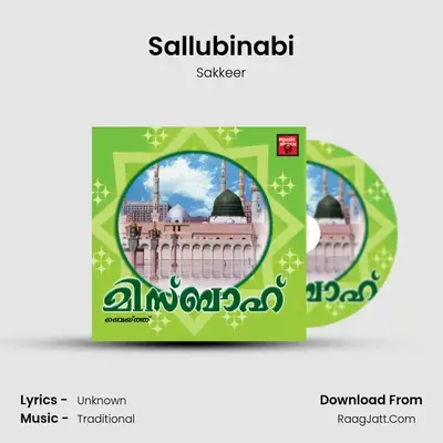 Sallubinabi MP3 Song by Sakkeer Cover
