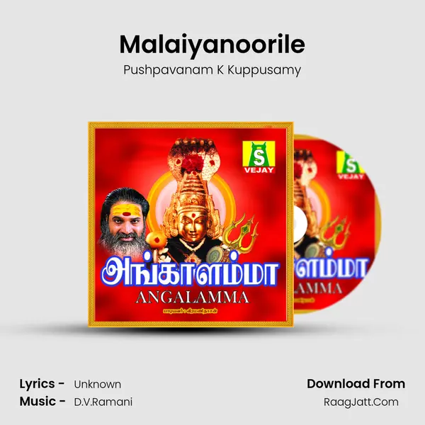Malaiyanoorile MP3 Song by Pushpavanam K Kuppusamy Cover
