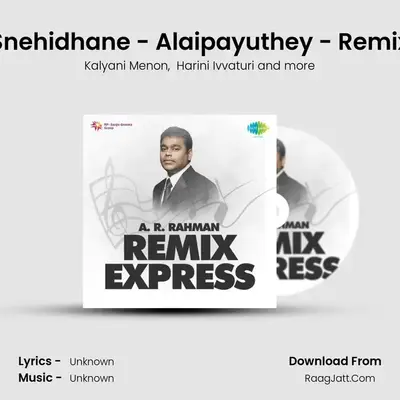 Snehidhane - Alaipayuthey - Remix MP3 Song by Kalyani Menon Cover