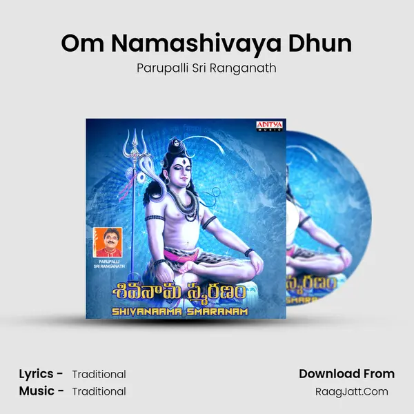 Om Namashivaya Dhun MP3 Song by Parupalli Sri Ranganath Cover