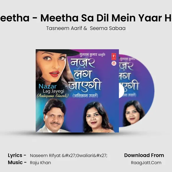 Dard Meetha - Meetha Sa Dil Mein Yaar Hota Hai MP3 Song by Tasneem Aarif Cover