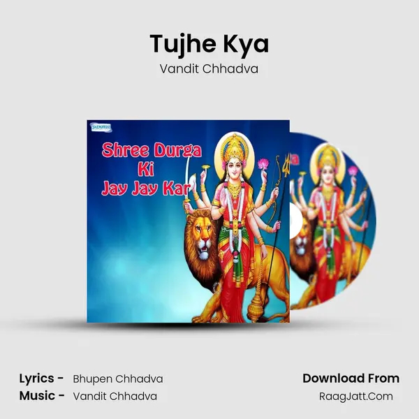 Tujhe Kya MP3 Song by Vandit Chhadva Cover