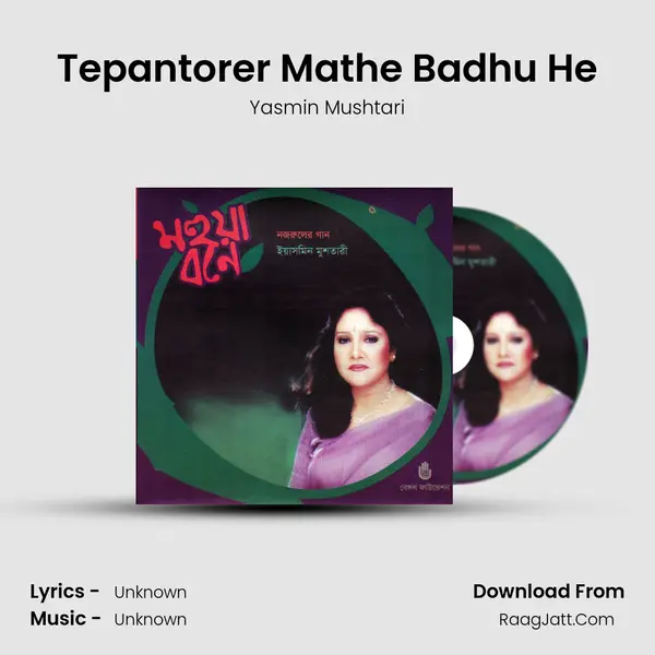 Tepantorer Mathe Badhu He mp3 song