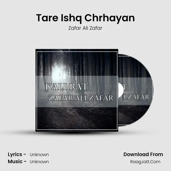 Tare Ishq Chrhayan MP3 Song by Zafar Ali Zafar Cover