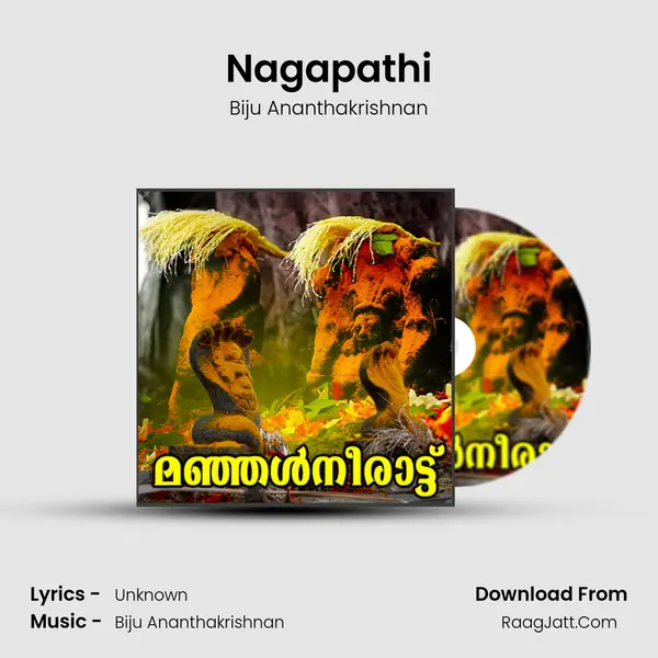 Nagapathi MP3 Song by Biju Ananthakrishnan Cover