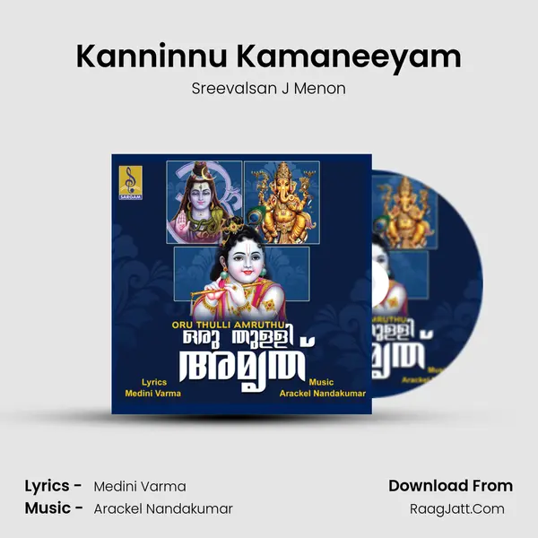 Kanninnu Kamaneeyam MP3 Song by Sreevalsan J Menon Cover