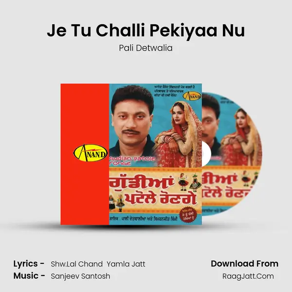 Je Tu Challi Pekiyaa Nu MP3 Song by Pali Detwalia Cover