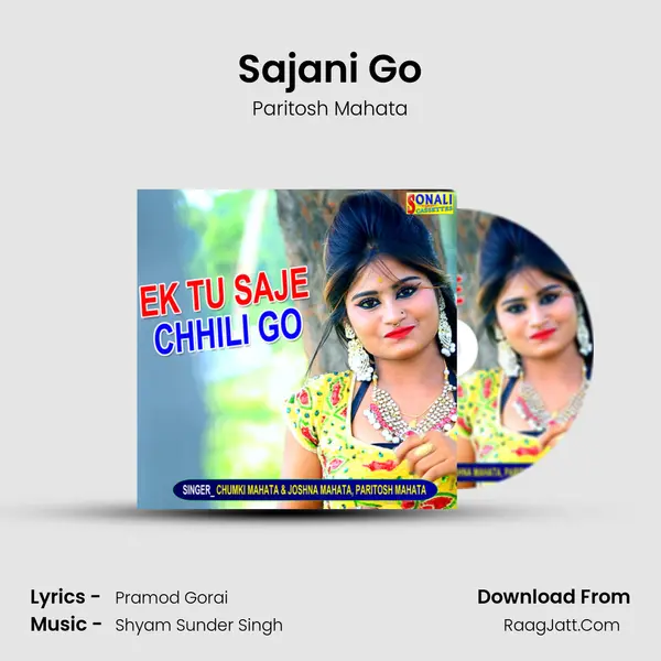 Sajani Go MP3 Song by Paritosh Mahata Cover
