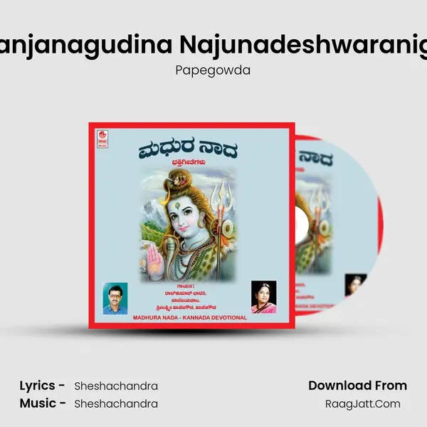 Nanjanagudina Najunadeshwaranige MP3 Song by Papegowda Cover