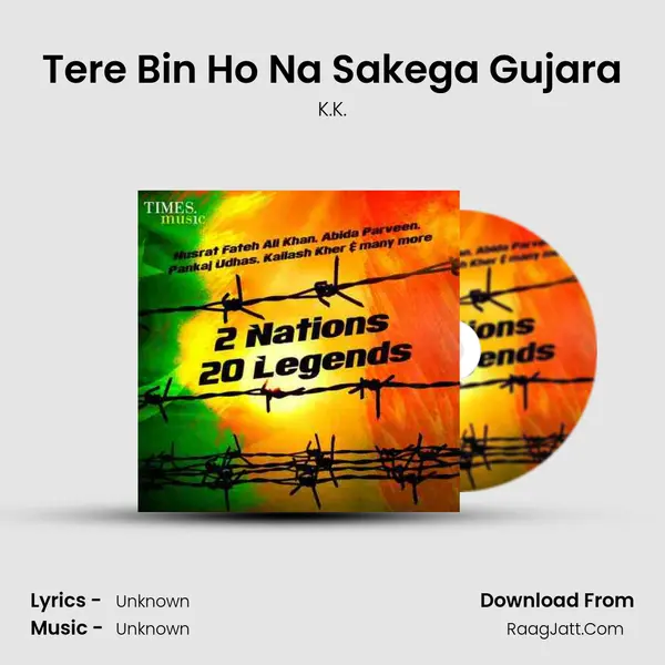 Tere Bin Ho Na Sakega Gujara Cover