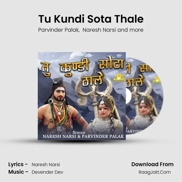 Tu Kundi Sota Thale MP3 Song by Parvinder Palak Cover