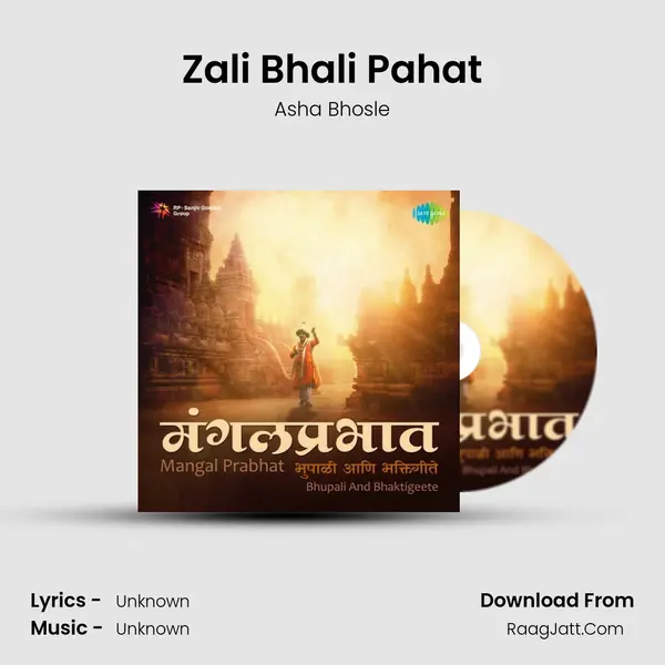 Zali Bhali Pahat Cover