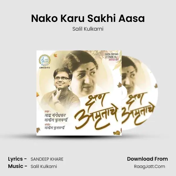 Nako Karu Sakhi Aasa MP3 Song by Salil Kulkarni Cover