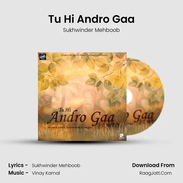 Tu Hi Andro Gaa mp3 song