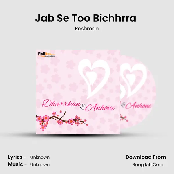 Jab Se Too Bichhrra (From "Anhoni") Cover