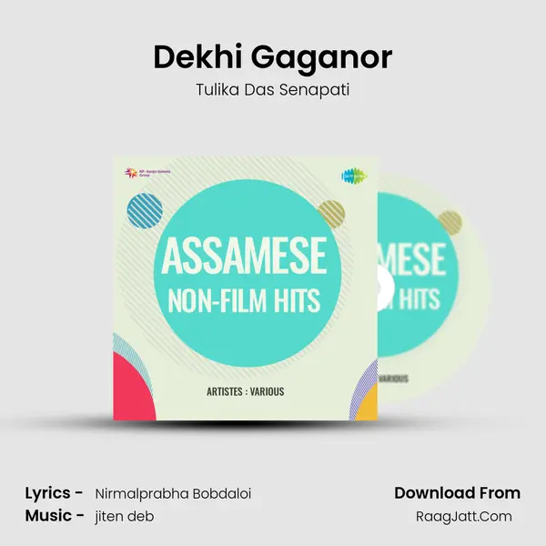 Dekhi Gaganor MP3 Song by Tulika Das Senapati Cover