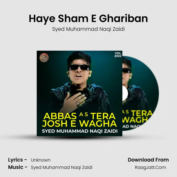 Haye Sham E Ghariban MP3 Song by Syed Muhammad Naqi Zaidi Cover