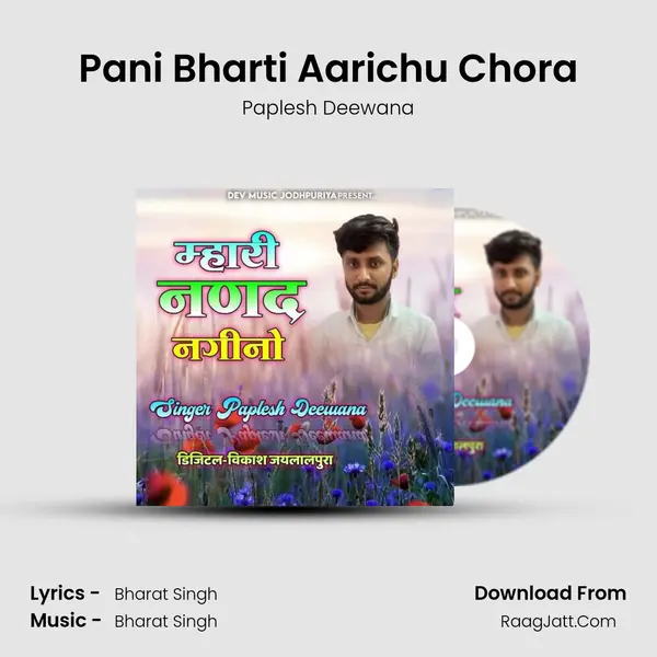 Pani Bharti Aarichu Chora MP3 Song by Paplesh Deewana Cover