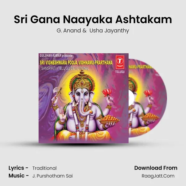 Sri Gana Naayaka Ashtakam MP3 Song by G. Anand Cover