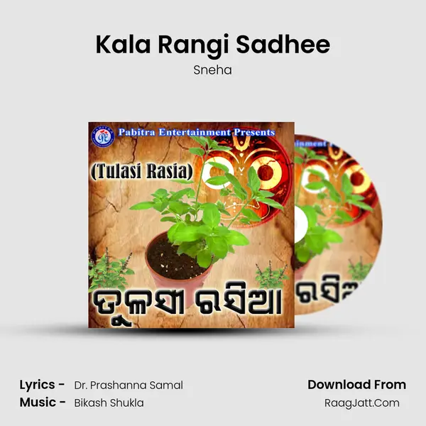 Kala Rangi Sadhee MP3 Song by Sneha Cover