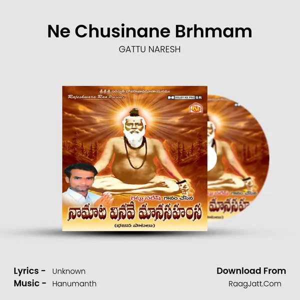 Ne Chusinane Brhmam MP3 Song by GATTU NARESH Cover