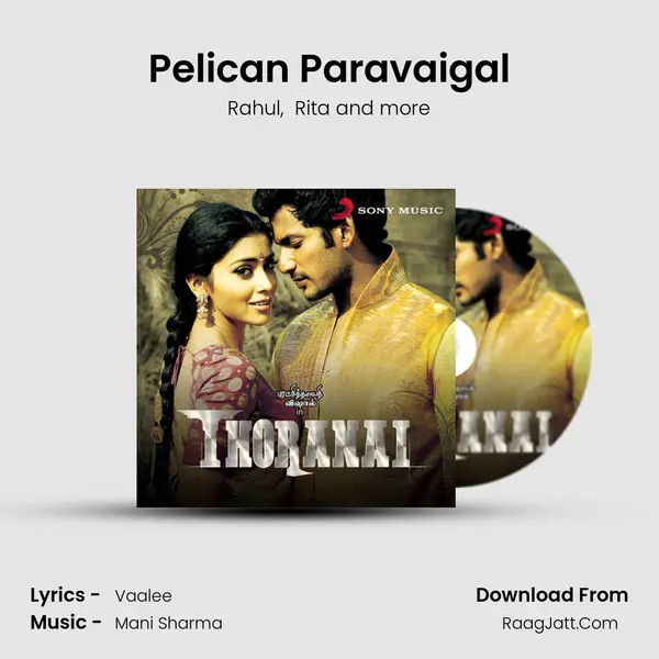 Pelican Paravaigal MP3 Song by Rahul Cover