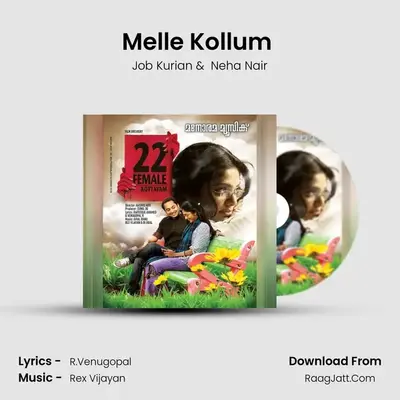 Melle Kollum (Aalaaps) Cover