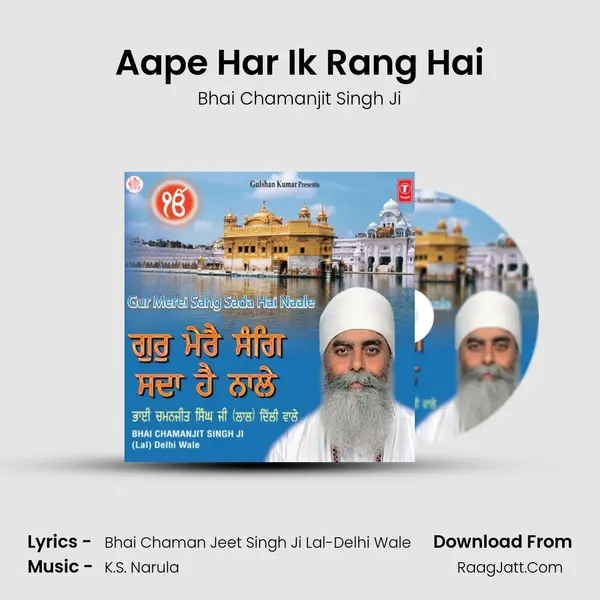 Aape Har Ik Rang Hai MP3 Song by Bhai Chamanjit Singh Ji Cover