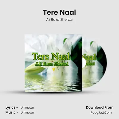 Tere Naal MP3 Song by Ali Raza Sherazi Cover