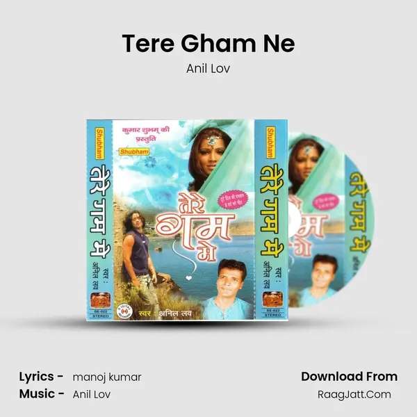 Tere Gham Ne MP3 Song by Anil Lov Cover