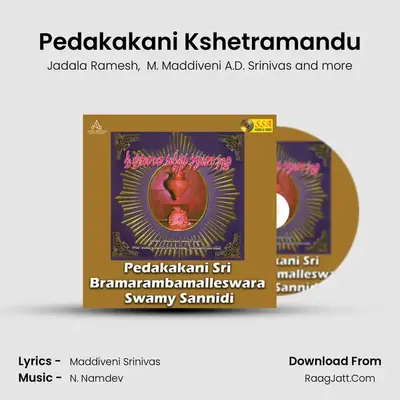 Pedakakani Kshetramandu MP3 Song by Jadala Ramesh Cover