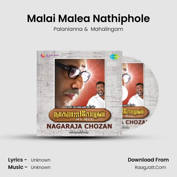 Malai Malea Nathiphole MP3 Song by Palanianna Cover