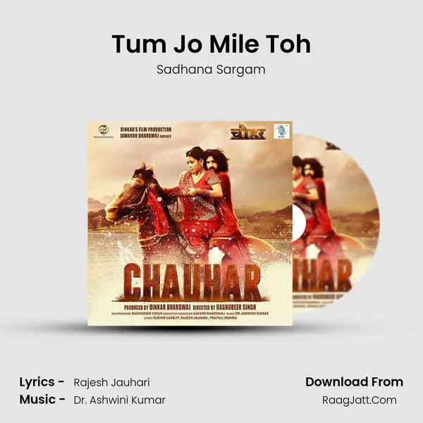 Tum Jo Mile Toh MP3 Song by Sadhana Sargam Cover