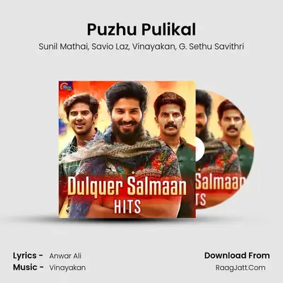 Puzhu Pulikal MP3 Song by Sunil Mathai Cover