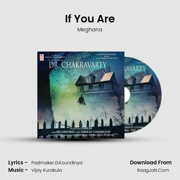 If You Are MP3 Song by Meghana Cover