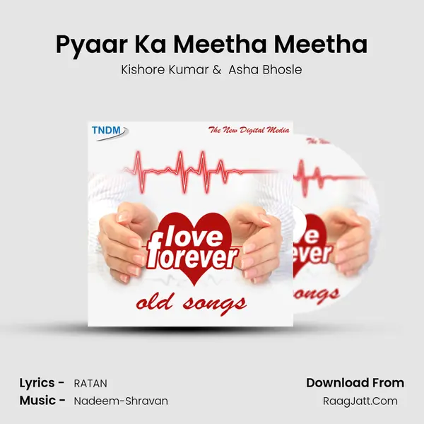 Pyaar Ka Meetha Meetha MP3 Song by Kishore Kumar Cover
