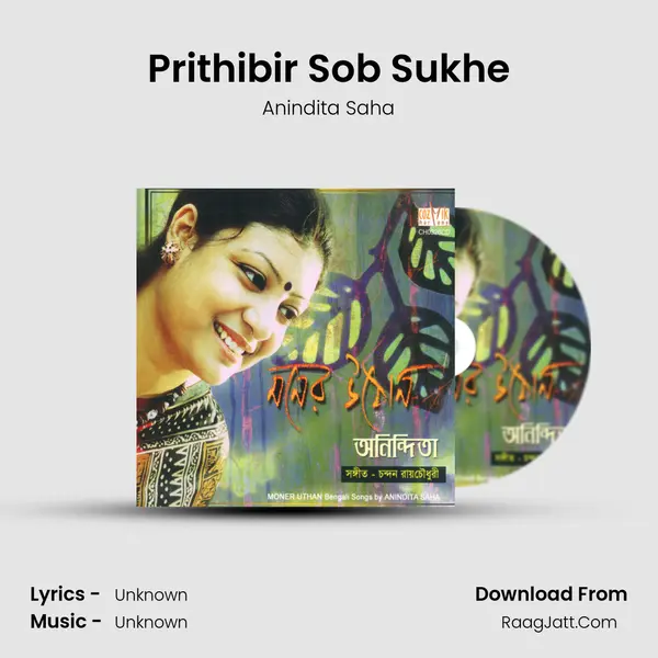 Prithibir Sob Sukhe mp3 song