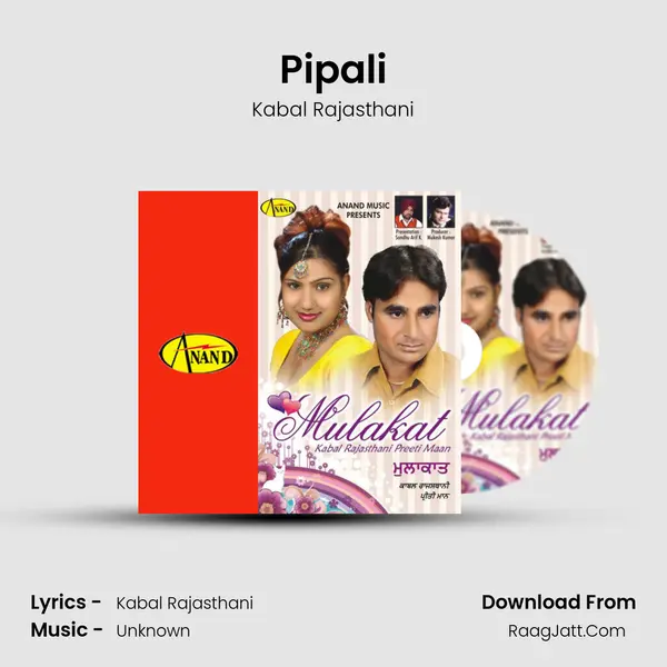 Pipali MP3 Song by Kabal Rajasthani Cover