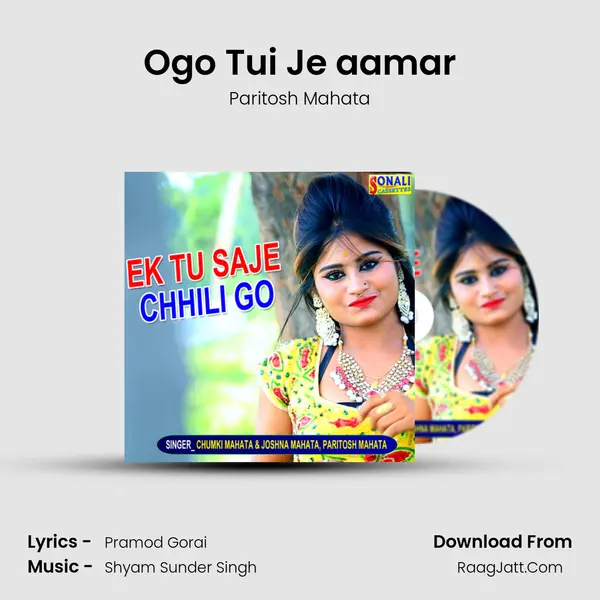 Ogo Tui Je aamar MP3 Song by Paritosh Mahata Cover
