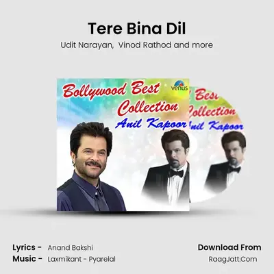 Tere Bina Dil Cover