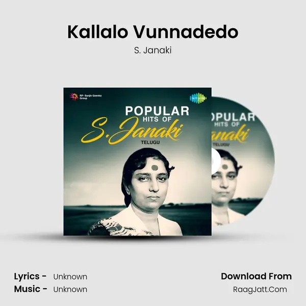 Kallalo Vunnadedo Cover